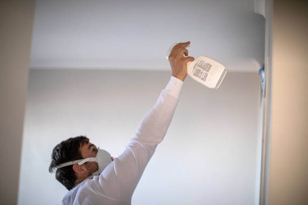 Best Office Mold Removal Services  in Wrightsville, AR