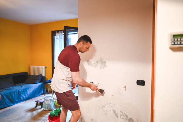 Certified Mold Removal in Wrightsville, AR
